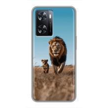 Чохол Король лев на OPPO а57с (Мусафа і Сімба)