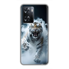 Чохол з картинкою 'Хижаки' для Oppo a57s – Тигр