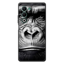 Чехлы с Горилой на А5м – Черная обезьяна