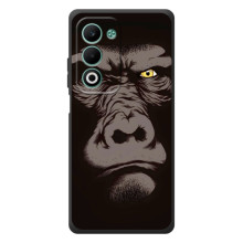 Чехлы с Горилой на А5м – Горилла