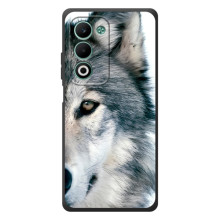 Чехлы с картинками животных OPPO A5m (Волк)