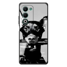 Чехол ДОБЕРМАН для OPPO A5m (Опасный доберман)