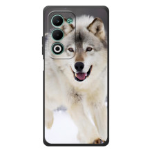 Чехол с Волком на OPPO A5m – Волк на снегу