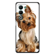 Чехол (ТПУ) Милые собачки для OPPO A5m (Собака Терьер)