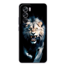 Чехол с картинкой «Хищники» для OPPO A5m – Лев
