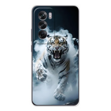 Чехол с картинкой «Хищники» для OPPO A5m – Тигр