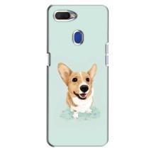 Чехлы с собаками для Oppo A5s (VPrint) (Корги)