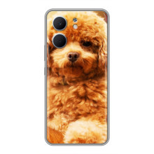 Чехлы с собаками для OPPO A5x (VPrint) (Щенок Бишон)