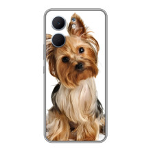 Чехол (ТПУ) Милые собачки для OPPO A5x (Собака Терьер)
