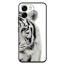 Чехлы с картинками животных OPPO A6 (Белый Тигр)