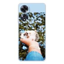Чохли з зображенням різних тварин на OPPO A60 5G (Їжачок в руці)