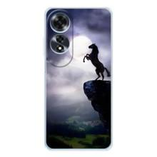 Чохли з зображенням різних тварин на OPPO A60 5G (Кінь)