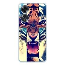 Чохли з зображенням різних тварин на OPPO A60 5G (Яскравий Тигр)