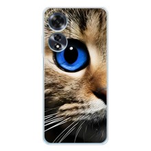 Чехлы с Котиками для OPPO A60 5G (VPrint) (Глаз кота)