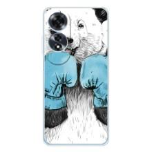 Чехлы с Пандами на OPPO A60 5G – Панда боксер