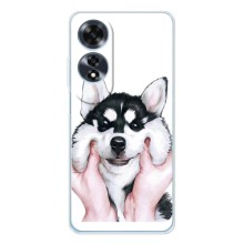 Чехлы с собаками для OPPO A60 5G (VPrint) (Довольный Хаски)