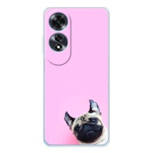 Чехлы с собаками для OPPO A60 5G (VPrint) (Смешная собака)