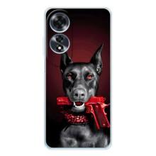 Чехол ДОБЕРМАН для OPPO A60 5G – Доберман злой
