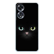 Чохол на тематику: Коти для OPPO A60 5G – Чорний Котик