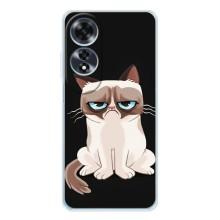 Чохол на тематику: Коти для OPPO A60 5G – Погляд кота