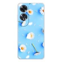 Чехол с Цветами для OPPO A60 5G (ромашки на голубом)