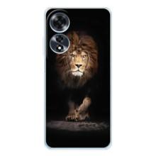 Чохол з картинкою на OPPO A60 5G – Гарний Лев