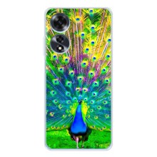 Чехол с птицами на OPPO A60 5G (VPrint) (Яркий Павлин)