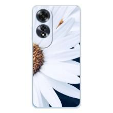 Чохол з ромашками на OPPO A60 5G – Пів ромашки