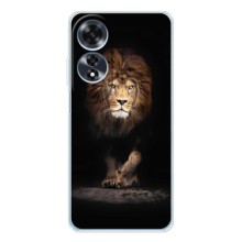 Чехол со Львом для OPPO A60 5G (VPrint) (Лев)