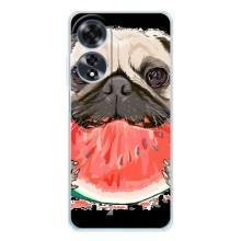Чохол (ТПУ) Милі песики для OPPO A60 5G – Смішний Мопс