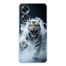 Чохол з картинкою 'Хижаки' для OPPO A60 5G – Тигр