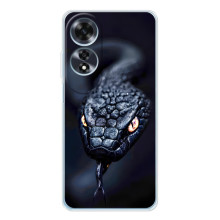 Чохол з картинкою 'Хижаки' для OPPO A60 5G – Змія