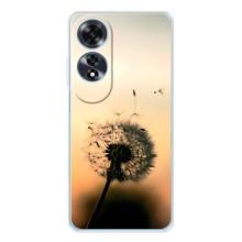 Силиконовый Чехол с одуванчиками на OPPO A60 5G – Роздумаханый одуванчик