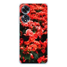 Чехлы с Цветами для OPPO A60 (VPrint) (Цветы красные)