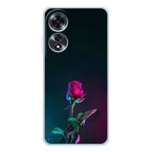 Чехлы с принтом Розочки для OPPO A60 – Ночная роза
