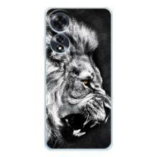 Чохол з картинкою на OPPO A60 – Злий Лев