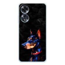 Бампер для OPPO A60 с картинкой "Песики" (Собака Мопс)