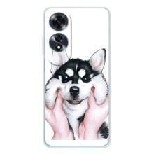 Бампер для OPPO A60 с картинкой "Песики" (Собака Хаски)