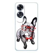 Бампер для OPPO A60 с картинкой "Песики" (В очках)