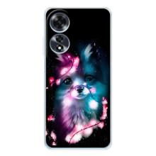 Чохол з Лисичкою для OPPO A60 – Чорна лисиця