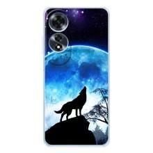 Чехол с Волком на OPPO A60 – Воет на луну
