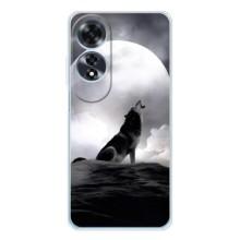Чехол с Волком на OPPO A60 – Волк и луна