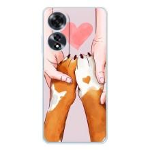 Чехол (ТПУ) Милые собачки для OPPO A60 – Любовь к собакам