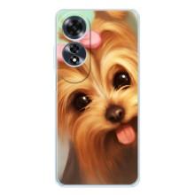 Чехол (ТПУ) Милые собачки для OPPO A60 – Йоршенский терьер