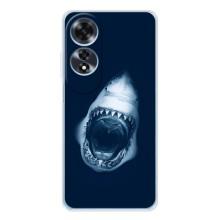 Силіконовий бампер з картинкою звірів для OPPO A60 (Пащу Акули)