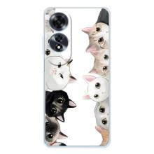 Силиконовый чехол с котиком для OPPO A60 (Коты)