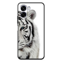 Чехлы с картинками животных OPPO A6x (Белый Тигр)