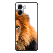 Чехлы с картинками животных OPPO A6x (Лев грива)