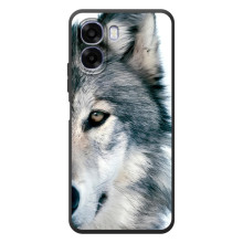 Чехлы с картинками животных OPPO A6x (Волк)