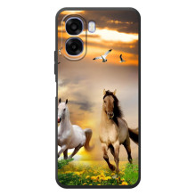 Чехлы с Лошадью дляOPPO A6x (VPrint)